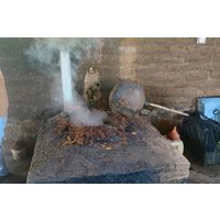 The Mezcal process and culture and tasting