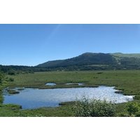 Private Guided Kirigamine Tour in Nagano: Marsh Walk & Lunch