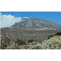 7 Day Kilimanjaro Climb Via Machame Route Whiskey Route