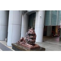 Intro to Hong Kong, Understanding the History and Culture