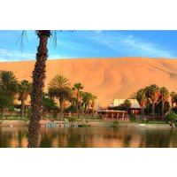 Ballesta Islands and Oasis Huacachina Full Day from Lima with Buggie
