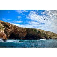 Ballestas Islands Tour from Huacachina or Ica – Round Trip