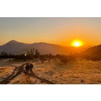 Horseback Riding and Appetizer Looking at Santiago