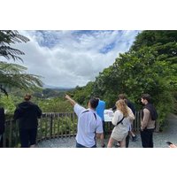 Rotorua: Wai-O-Tapu and Waimangu Volcanic Valley Tour + Boat