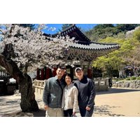 Private Gyeongju UNESCO Highlights Tour with Local Ryan