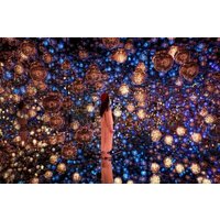Tokyo TeamLab Borderless Admission and Subway Pass