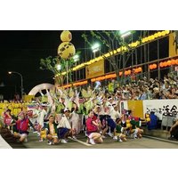 Awa Odori Cultural Ticket Pass in Tokushima