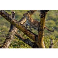 Lake Nakuru National Park Half Day Price Per Vehicle from Nakuru