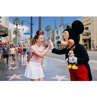 LA Photo Tour: 6-Hour Private Tour for Honeymooners & Families