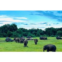 Minneriya / Hurulu Eco Park Safari Private Tour