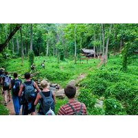 Cuc Phuong Hiking Tour Explore Vietnam Oldest National Park
