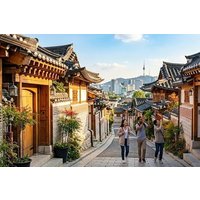 Seoul Private Tour: Half Morning, Evening or Full-Day Custom