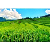 From Hanoi/Ninh Binh:Pu Luong Trekking Authentic Village Day Trip