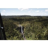 North Islands Tallest Waterfall: 45 Minute Helicopter Tour