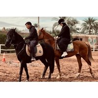 Private Horseback Ride in Marrakech's Palmeraie With Pick up