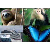 Wildlife boat tour Panama Canal Sloth Sanctuary Butterfly Garden