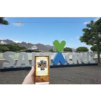 Santa Cruz Self Guided Scavenger Hunt and Walking Tour