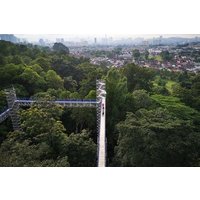 Batu Caves Skywalk and Waterfalls Adventure