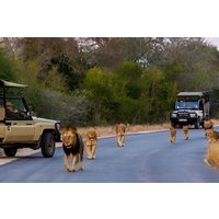 2-Day Cape Peninsula and Winelands Country Tour