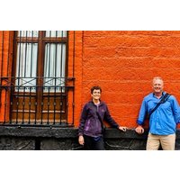 Private Tour: Xochimilco, Coyoacan and Kahlo House (Red House)