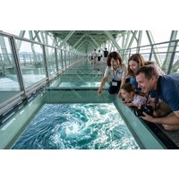 Tokushima Port Pickup Private Tour with Guide and Vehicle