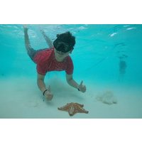 Cozumel Reefs and El Cielo Catamaran Tour with Slide