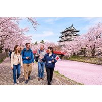 Hirosaki 4hr Private Tour with Government-Licensed Guide