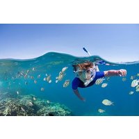 Roatan private Snorkeling Tour: Monkeys,Sloths & Beach Break