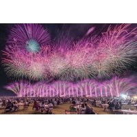 Save 29.99%! 2026 Oarai Maritime Fireworks Festiva day tour from Tokyo