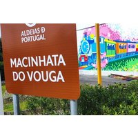 Tour Bairrada Vines and Museums and Natural Landscape from Porto