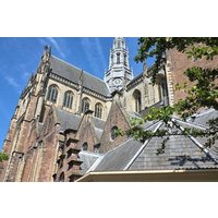 Haarlem Highlights: Windmills, Masters & Hidden Stories