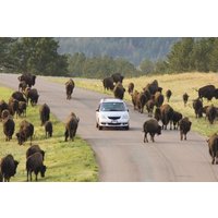 Black Hills Rushmore to Crazy Horse Self Guided GPS Driving Tour