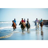 Ubud Horse Riding Zip Line Tour and Waterfall Tour