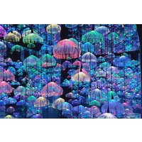 Tokyo TeamLab Planets Ticket and Tokyo Tower Main Deck Ticket
