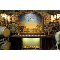 Viña Alyan Sunset Experience with Wine Tastings
