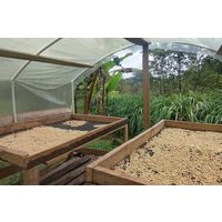 Cali Visit to a coffee farm in Ebike Santa Elena Valle