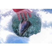 3 hour Winter Ice Fishing Experience in Willow Alaska