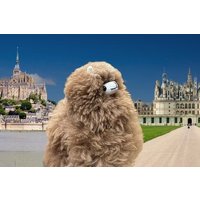 2Day Grand French Adventure: Mont Saint Michel D-Day Loire Valley
