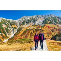 Kanazawa/Nagano: Tateyama Kurobe Snow Wall Day Tour
