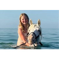 Hurghada Horse Riding in Desert & Along the Beach