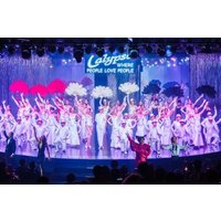 Calypso Cabaret: Dazzling Lights & Performances