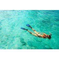 Snorkel Fort Lauderdale Jean Cousteaus Reef and Snorkel Trail