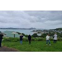 Amazing Auckland City Half Day Guided Tour