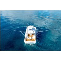4-Hour Private Fishing Charter in the Riviera Maya
