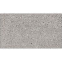 Bottega Acero 25X44.3