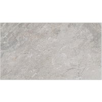 Image Silver 33.3X59.2