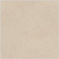 Dorcia Marfil 80X80