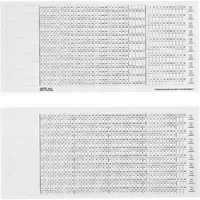 Leitz Organisationsstreifen 100 St./Pack. A-Z, 1-31, I-XII