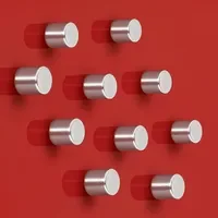 SIGEL Magnet SuperDym C5 Strong Zylinder