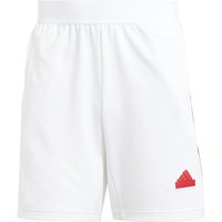 Pantalons adidas Maison de Tiro National Pack Homme Blanc